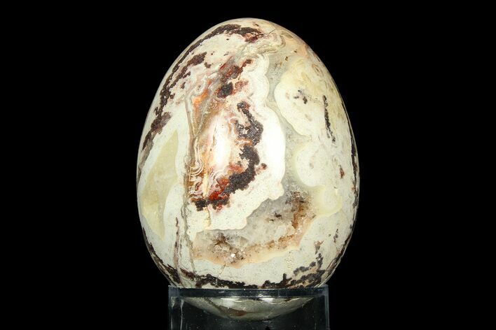 Polished Crazy Lace Agate Egg - Mexico #308703